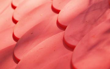 Ribby plastic roof costs